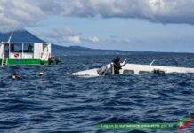 Aircraft makes new dive site off St. Kitts’ Potato Bay