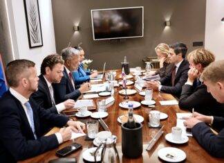 Prime Minister Dr. Luc Mercelina Holds Constructive High-Level Meeting with Dutch Prime Minister Rob Jetten