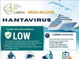 CARPHA Urges Vigilance as Hantavirus Cluster Reported on Cruise Ship; Regional Risk Considered Low