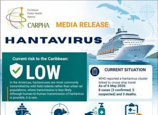 CARPHA Urges Vigilance as Hantavirus Cluster Reported on Cruise Ship; Regional Risk Considered Low