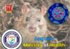 Anguilla Ministry of Health Monitoring International Hantavirus Outbreak