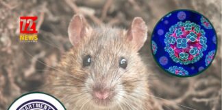 Anguilla Ministry of Health Monitoring International Hantavirus Outbreak