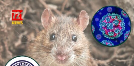 Anguilla Ministry of Health Monitoring International Hantavirus Outbreak