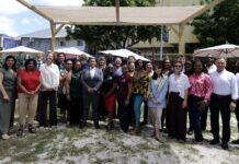 International Cultural Emergency Experts Convene in Sint Maarten for 2026 CER Regional Hubs Annual General Meeting