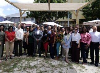 International Cultural Emergency Experts Convene in Sint Maarten for 2026 CER Regional Hubs Annual General Meeting