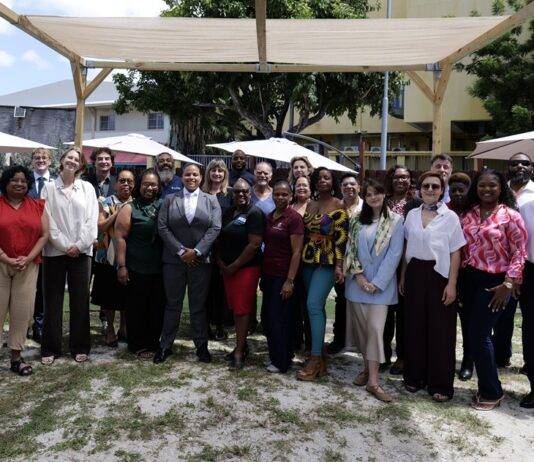 International Cultural Emergency Experts Convene in Sint Maarten for 2026 CER Regional Hubs Annual General Meeting