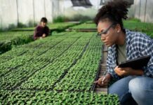 22 candidates move forward with full PhD scholarship application