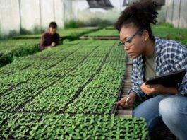 22 candidates move forward with full PhD scholarship application