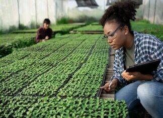 22 candidates move forward with full PhD scholarship application