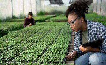 22 candidates move forward with full PhD scholarship application