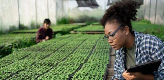 22 candidates move forward with full PhD scholarship application