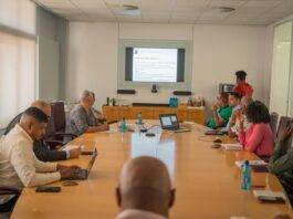 Curaçao Monitoring Hantavirus Developments, No Direct Threat Identified