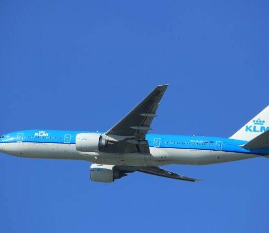 KLM flight attendant hospitalized after contact with hantavirus cruise ship passenger
