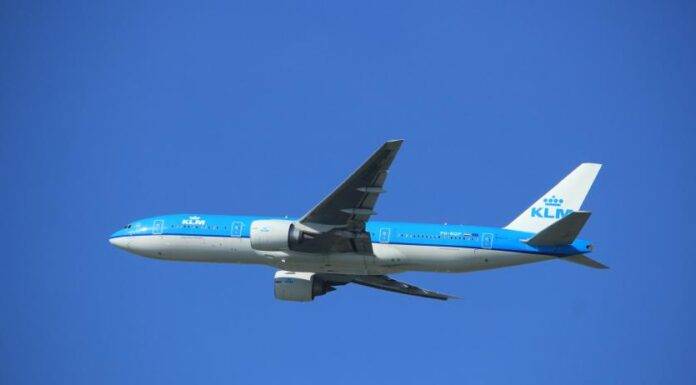 KLM flight attendant hospitalized after contact with hantavirus cruise ship passenger
