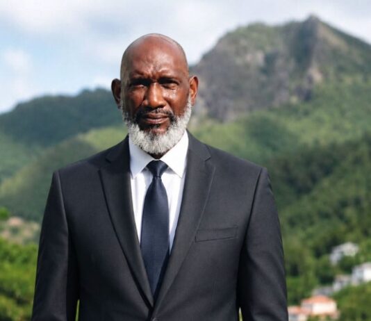 Jocelyn Levenstone new Island Governor of Saba