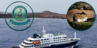 Government of Saint Kitts and Nevis Monitoring Situation Related to Hantavirus