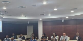 Public Meeting of Parliament regarding Parlatino matters, and ratification of IPKO Agreements Lists
