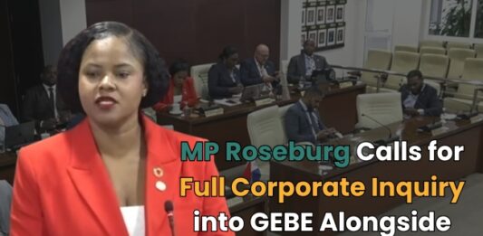 MP Roseburg supports Ministerial Steps on NV GEBE, further suggesting next to current steps being taken for Council to Launch of Corporate Inquiry, as done for the harbor in 2017 (enquête procedure), alongside New BTP Oversight.
