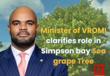 Minister of VROMI clarifies role in Simpson bay Sea grape Tree