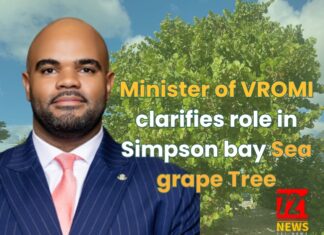 Minister of VROMI clarifies role in Simpson bay Sea grape Tree
