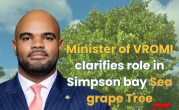 Minister of VROMI clarifies role in Simpson bay Sea grape Tree