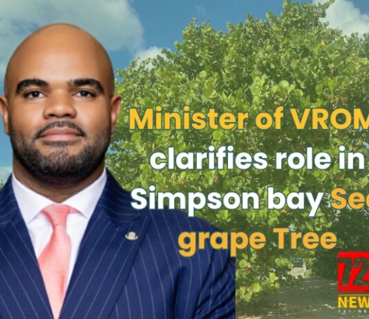 Minister of VROMI clarifies role in Simpson bay Sea grape Tree