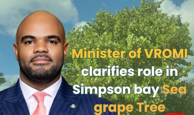 Minister of VROMI clarifies role in Simpson bay Sea grape Tree