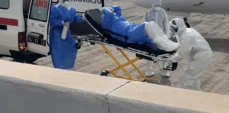 Dutch woman who died from hantavirus had boarded KLM flight in Johannesburg: Airline