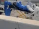 Dutch woman who died from hantavirus had boarded KLM flight in Johannesburg: Airline