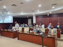 Continuation Urgent Public Meeting of Parliament regarding the recent integrity-related allegations within the Ministry of VSA