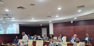 Continuation Urgent Public Meeting of Parliament regarding the recent integrity-related allegations within the Ministry of VSA