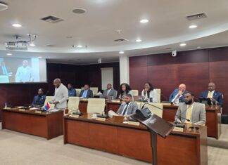 Continuation Urgent Public Meeting of Parliament regarding the recent integrity-related allegations within the Ministry of VSA