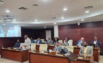 Continuation Urgent Public Meeting of Parliament regarding the recent integrity-related allegations within the Ministry of VSA