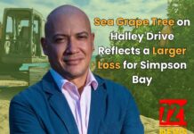 Sea Grape Tree on Halley Drive Reflects a Larger Loss for Simpson Bay