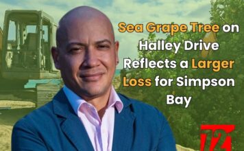 Sea Grape Tree on Halley Drive Reflects a Larger Loss for Simpson Bay