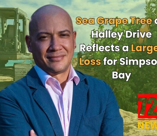 Sea Grape Tree on Halley Drive Reflects a Larger Loss for Simpson Bay