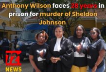 Anthony Wilson faces 28 years in prison for murder of Sheldon Johnson