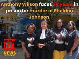 Anthony Wilson faces 28 years in prison for murder of Sheldon Johnson