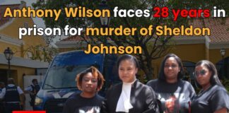 Anthony Wilson faces 28 years in prison for murder of Sheldon Johnson