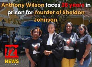 Anthony Wilson faces 28 years in prison for murder of Sheldon Johnson