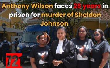 Anthony Wilson faces 28 years in prison for murder of Sheldon Johnson