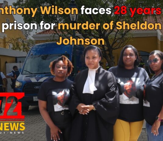 Anthony Wilson faces 28 years in prison for murder of Sheldon Johnson