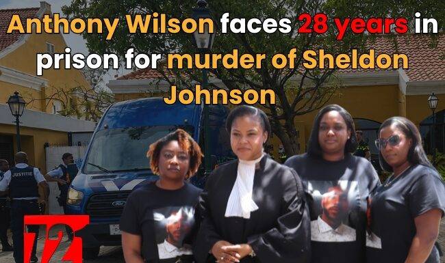 Anthony Wilson faces 28 years in prison for murder of Sheldon Johnson