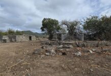 163rd Anniversary of the Abolition of Slavery to be commemorated at the Belvedere Plantation