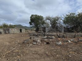 163rd Anniversary of the Abolition of Slavery to be commemorated at the Belvedere Plantation