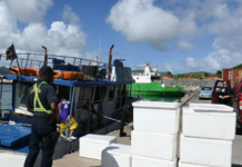 Nature Foundation and Ministry of Justice Launch New Biosecurity Initiative for Sint Maarten