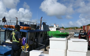 Nature Foundation and Ministry of Justice Launch New Biosecurity Initiative for Sint Maarten