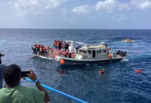 MV Makana Passenger Praises Swift Rescue After Apple Syder Ferry Accident