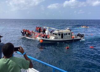 MV Makana Passenger Praises Swift Rescue After Apple Syder Ferry Accident
