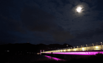 Port St. Maarten Celebrates Successful Completion of Simpson Bay Causeway Bridge Lighting Upgrade